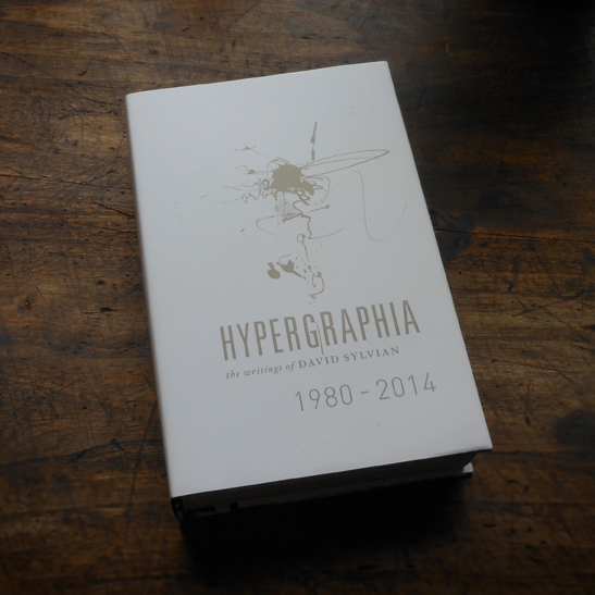 David Sylvian “HYPERGRAPHIA” – Mariko Sugano | 菅野まり子 | arbor-inversa.com